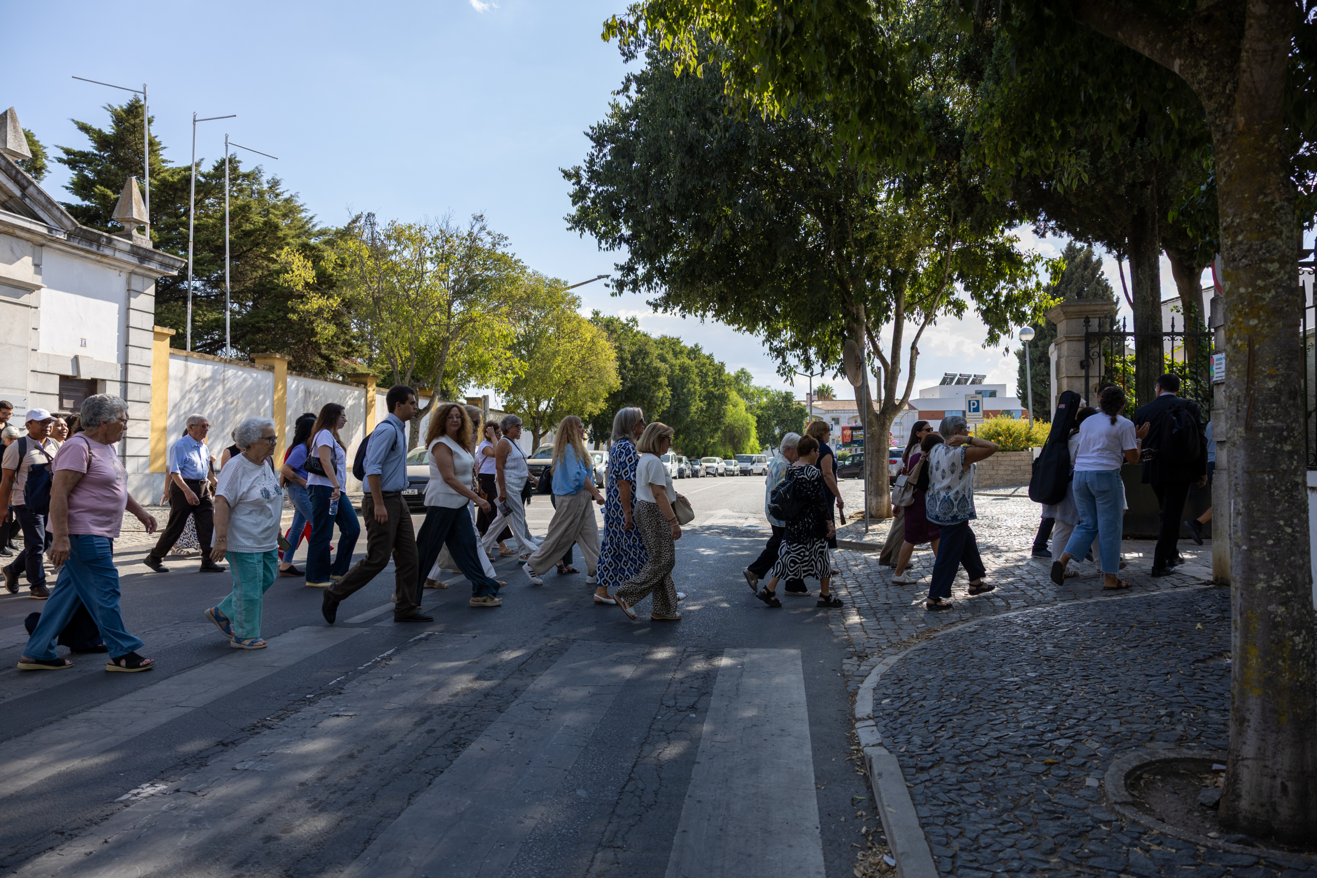 Dia Diocesano-389